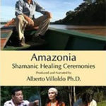Amazonia Book Cover Image
